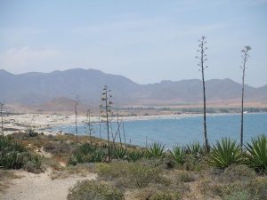 Le parc du Cabo de Gata