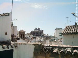 La vue de la terrasse de l'école